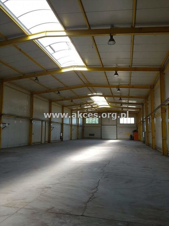 Lokal użytkowy na wynajem Tarczyn 1 168m2 Foto 4