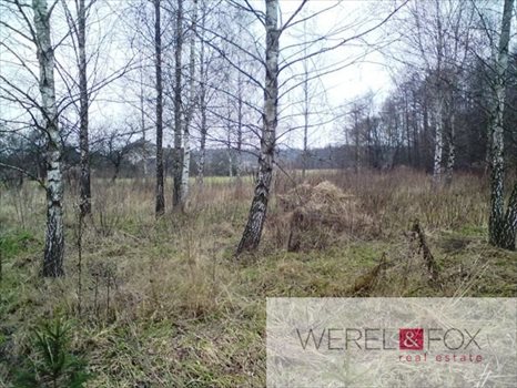 Działka inna na sprzedaż Niewodnica Kościelna 2 904m2 Foto 2