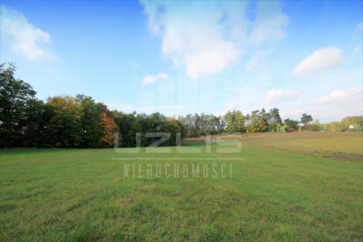 Działka siedliskowa na sprzedaż Grabówko, Jezioro, Las, Grabówko 3 100m2 Foto 1