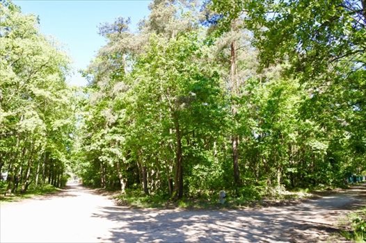 Działka budowlana na sprzedaż Sokolniki-Las, Jagiellońska 982m2 Foto 5
