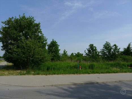 Działka inna na sprzedaż Rosanów 2 712m2 Foto 2