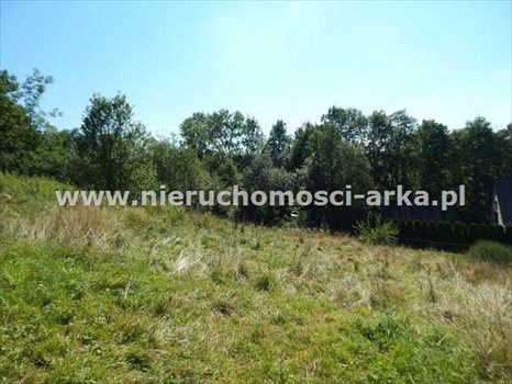 Działka budowlana na sprzedaż Olszówka 1 900m2 Foto 1