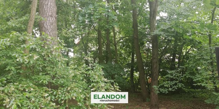 Działka budowlana na sprzedaż Józefów 1 520m2 Foto 5