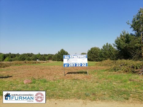 Działka inna na sprzedaż Laskowo 1 183m2 Foto 2