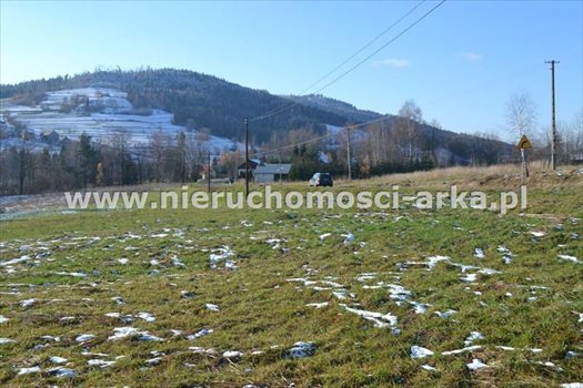 Działka budowlana na sprzedaż Wilczyce 2 300m2 Foto 6