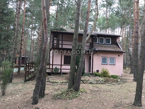 Działka rekreacyjna na sprzedaż Wólka Mlęcka 4 500m2 Foto 3