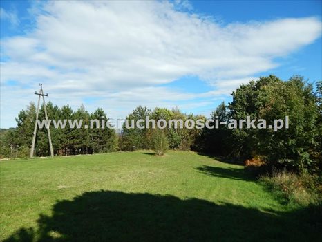 Działka budowlana na sprzedaż Skrzydlna 4 500m2 Foto 8