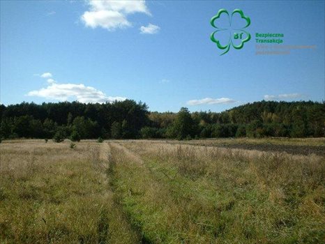 Działka budowlana na sprzedaż Silna, Silna 2 300m2 Foto 1
