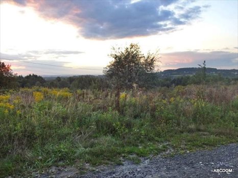 Działka budowlana na sprzedaż Kraków, Swoszowice, Soboniowice, Soboniowice/Drużbackiej 555m2 Foto 6