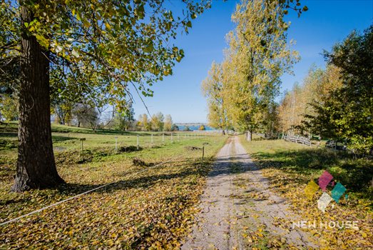 Lokal użytkowy na sprzedaż Olsztyn, Śródmieście 7 000m2 Foto 7