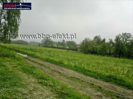 Działka budowlana na sprzedaż Buczkowice 2 283m2 Foto 2