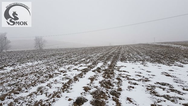 Działka budowlana na sprzedaż Januszowice 10 162m2 Foto 2