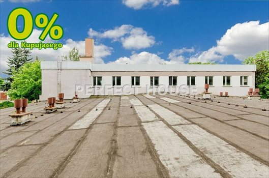 Lokal użytkowy na sprzedaż Zbrudzewo 1 766m2 Foto 3