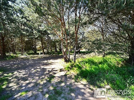 Działka rekreacyjna na sprzedaż Wisełka, Centrum 1 071m2 Foto 4