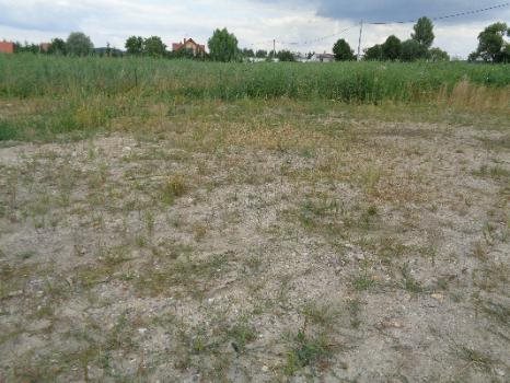 Działka budowlana na sprzedaż MODLNICZKA 1 000m2 Foto 4