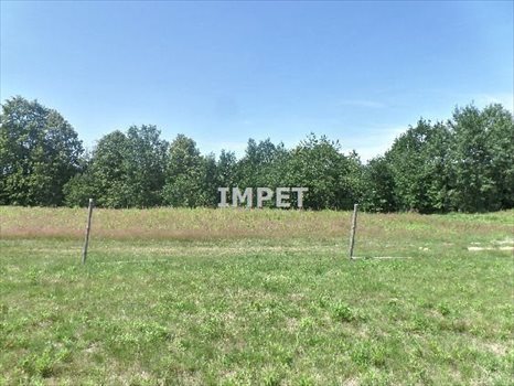 Działka inna na sprzedaż Koźlice 10 081m2 Foto 3