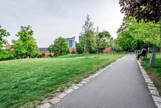Kawalerka na sprzedaż Poznań, Centrum, Ogrodowa 28m2 Foto 10
