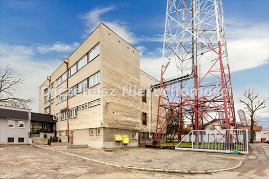 Lokal użytkowy na sprzedaż Szamotuły 1 846m2 Foto 4