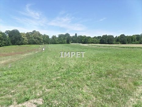 Działka inna na sprzedaż Koźlice 10 081m2 Foto 1