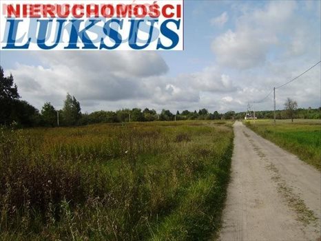 Działka budowlana pod dzierżawę Prażmów, Nowy Prażmów, Sporna 25 806m2 Foto 10