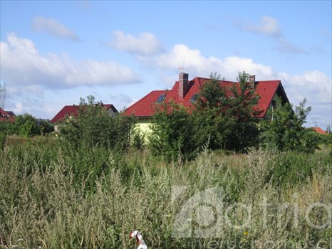 Działka budowlana na sprzedaż Wołczkowo 1 328m2 Foto 3