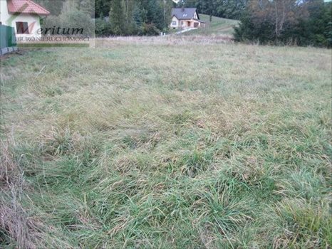 Działka budowlana na sprzedaż Nowy Sącz 1 100m2 Foto 4