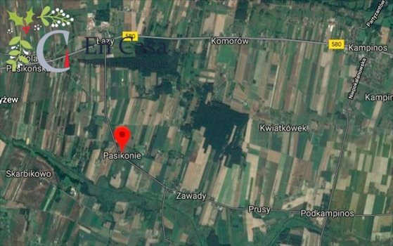 Działka budowlana na sprzedaż Pasikonie 13 702m2 Foto 2
