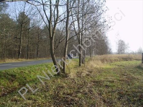 Działka inna na sprzedaż Skierniewice, Skierniewice 7 387m2 Foto 4