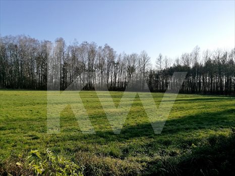 Działka budowlana na sprzedaż Brzeźce 3 700m2 Foto 1
