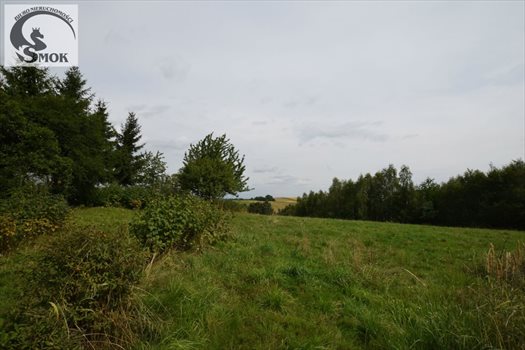Dom na sprzedaż Wola Radziszowska 366m2 Foto 12
