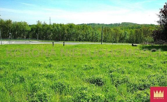 Działka komercyjna na sprzedaż Rybnik 11 783m2 Foto 1