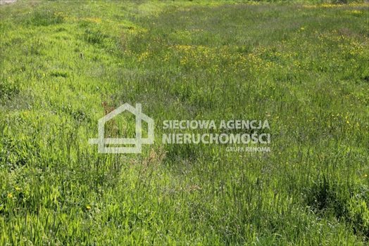 Działka budowlana na sprzedaż Lubowidz 1 005m2 Foto 3