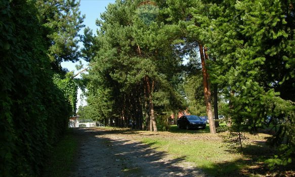 Lokal użytkowy na sprzedaż Michałów-Grabina, Kwiatowa 1 091m2 Foto 4