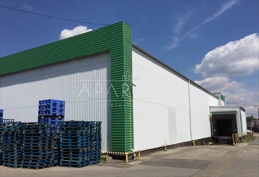 Lokal użytkowy na sprzedaż Chorzów 1 160m2 Foto 4
