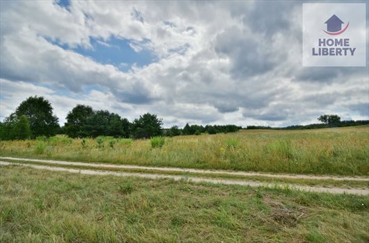Działka budowlana na sprzedaż Giedajty 1 586m2 Foto 5