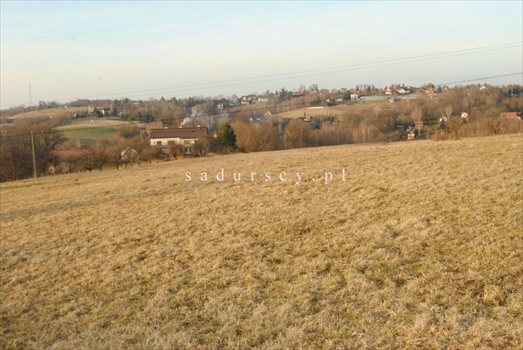 Działka inna na sprzedaż Gaj 8 000m2 Foto 3