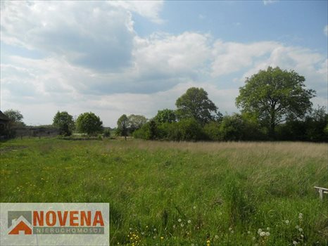 Działka budowlana na sprzedaż Żerków, 3km od Brzegu Dolnego. Pięnna działka budowlana. 1 800m2 Foto 3