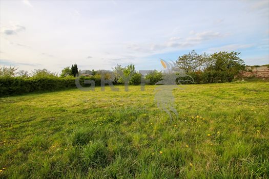 Działka budowlana na sprzedaż Siemianice, Siemianice 4 300m2 Foto 8