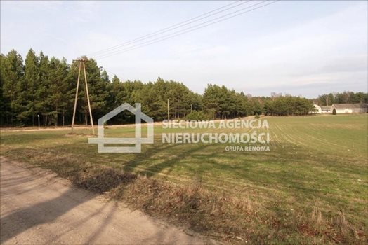 Działka rolna na sprzedaż Sepiot 43 700m2 Foto 6