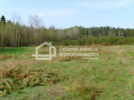 Działka budowlana na sprzedaż Sitno 1 412m2 Foto 8
