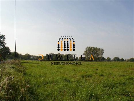 Działka budowlana na sprzedaż Gościnowo 1 200m2 Foto 4