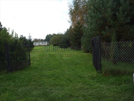 Działka rolna na sprzedaż Konstancin-Jeziorna 3 700m2 Foto 2