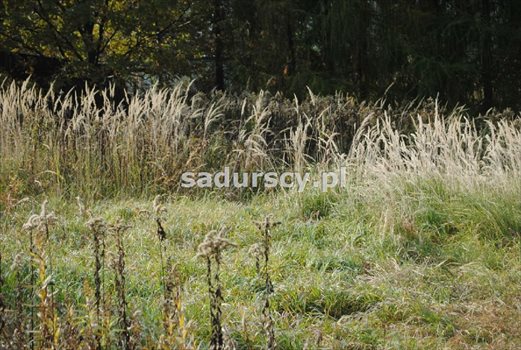 Działka budowlana na sprzedaż Kraków, Podgórze, Podgórze Duchackie 1 484m2 Foto 1