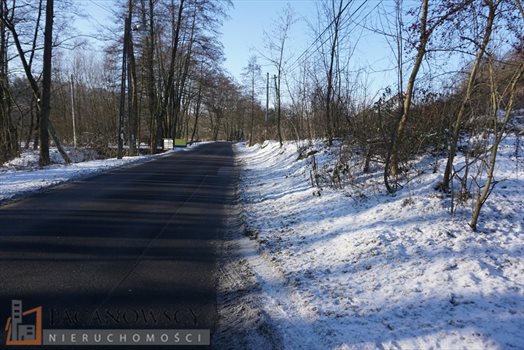 Działka inna na sprzedaż Januszowice 11 700m2 Foto 6