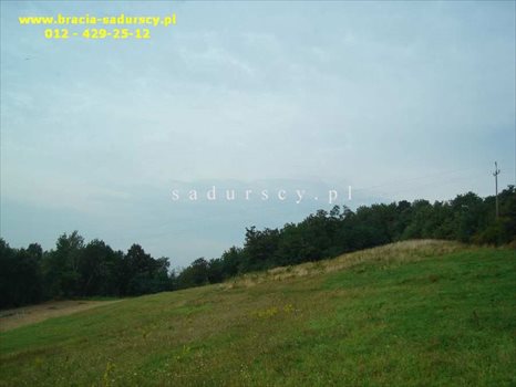 Działka inna na sprzedaż Konary 4 600m2 Foto 3