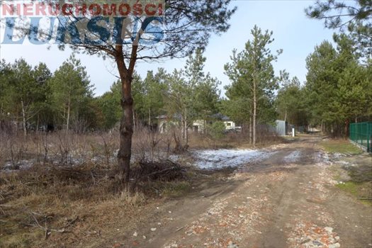 Działka budowlana na sprzedaż Łoś, Łoś 1 000m2 Foto 13
