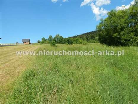 Działka budowlana na sprzedaż Kasina Wielka 1 500m2 Foto 6