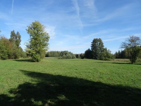 Działka inna na sprzedaż Osęka 7 600m2 Foto 9