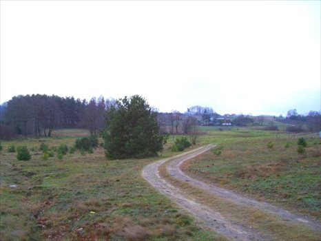 Działka inna na sprzedaż Koleczkowo, Wrzosowa 1 892m2 Foto 3