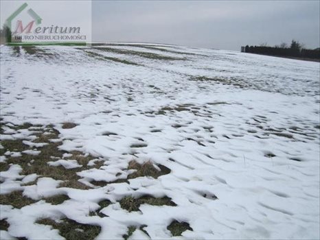 Działka budowlana na sprzedaż Nowy Sącz 1 454m2 Foto 3